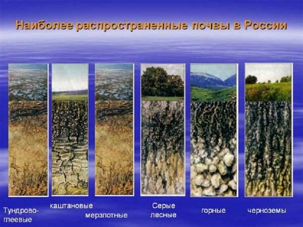 Газообразная