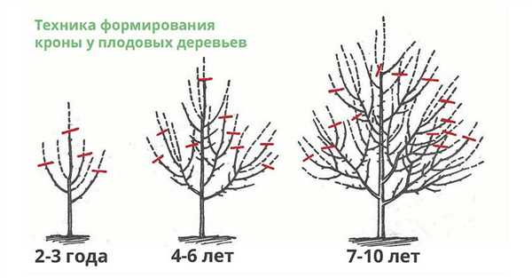 Почему