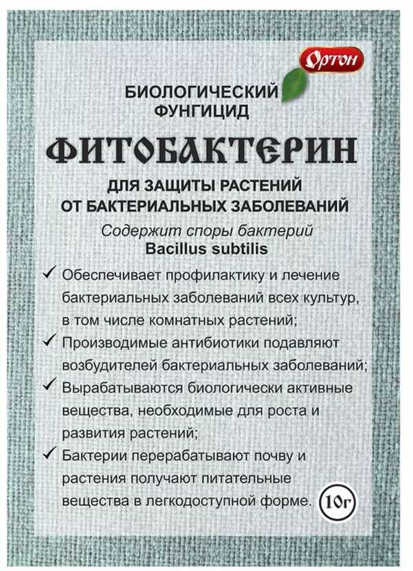 Отзывы