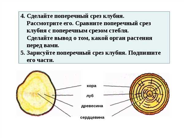 Использование