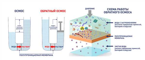 Заключение