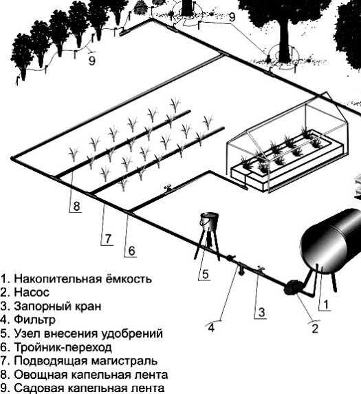 Капельный