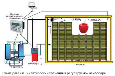 Сколько