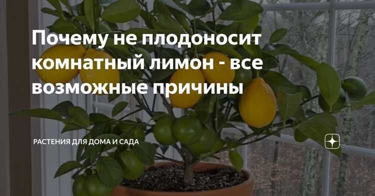 Неправильное