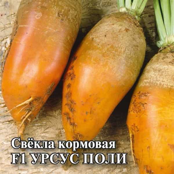 Продуктивность