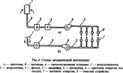 Виды