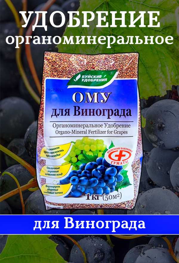 Выбор