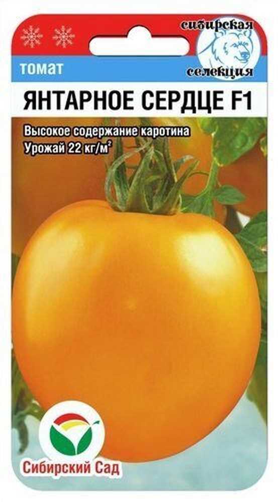 Посадка