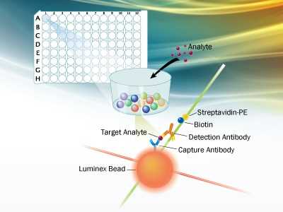 Инновационный анализатор микрочастиц Luminex — революционное решение для медицинской диагностики и научных исследований