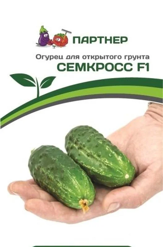 Огурец семкросс