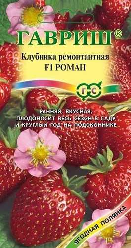 Описание и характеристики сорта клубники Роман — отличительные особенности и рекомендации по выращиванию