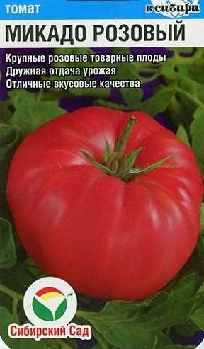 Томат микадо розовый — все, что вам нужно знать о выращивании и уходе