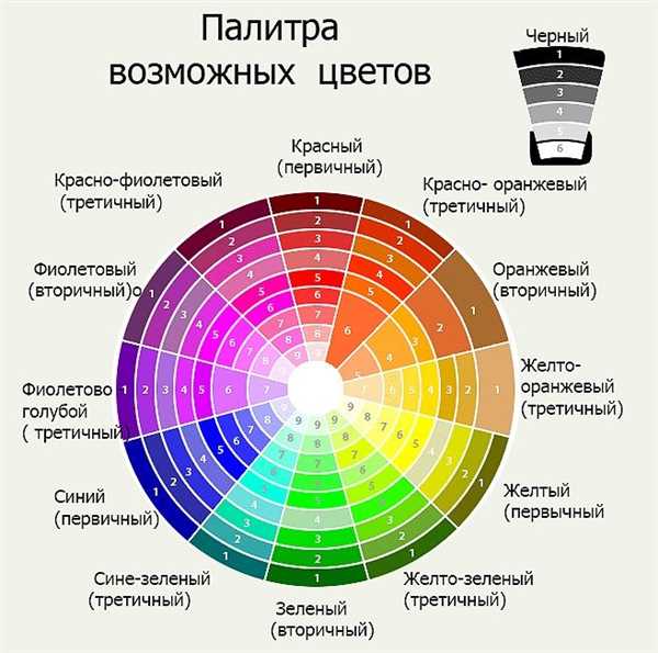 Цветовой круг ньютона — основы, принципы и приложения