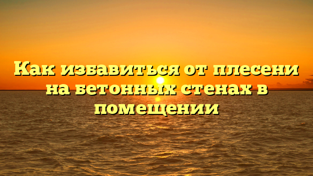 Как избавиться от плесени на бетонных стенах в помещении