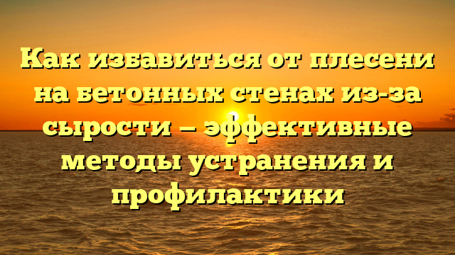 Как избавиться от плесени на бетонных стенах из-за сырости — эффективные методы устранения и профилактики