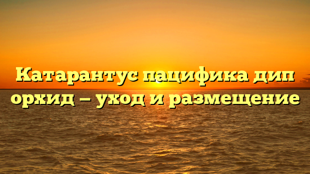 Катарантус пацифика дип орхид — уход и размещение