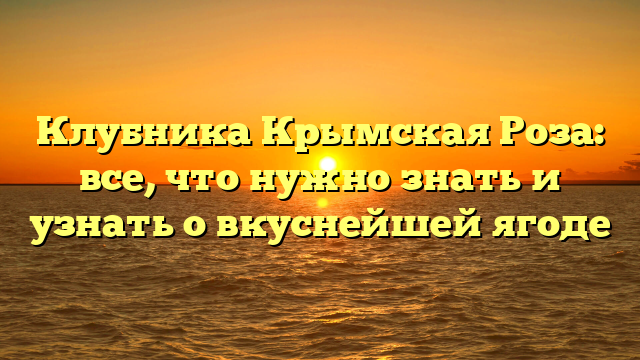 Клубника Крымская Роза: все, что нужно знать и узнать о вкуснейшей ягоде