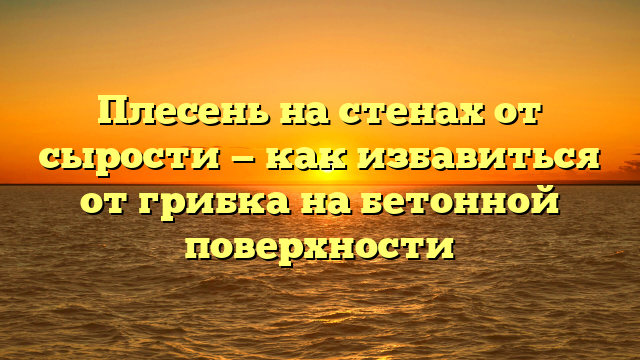 Плесень на стенах от сырости — как избавиться от грибка на бетонной поверхности