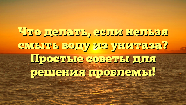 Что делать, если нельзя смыть воду из унитаза? Простые советы для решения проблемы!