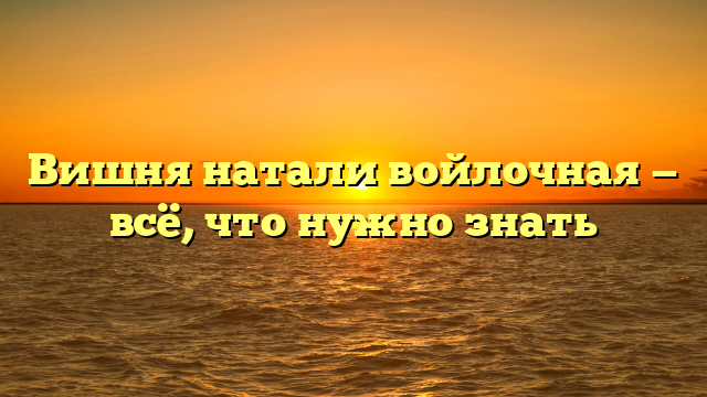 Вишня натали войлочная — всё, что нужно знать