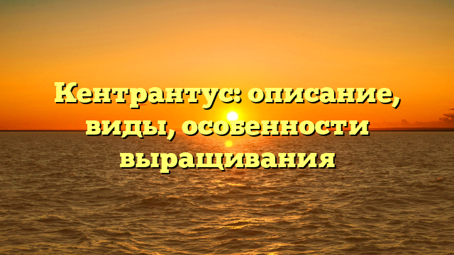 Кентрантус: описание, виды, особенности выращивания