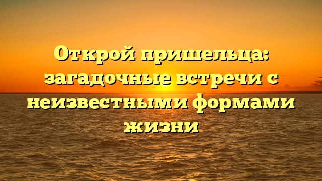 Открой пришельца: загадочные встречи с неизвестными формами жизни